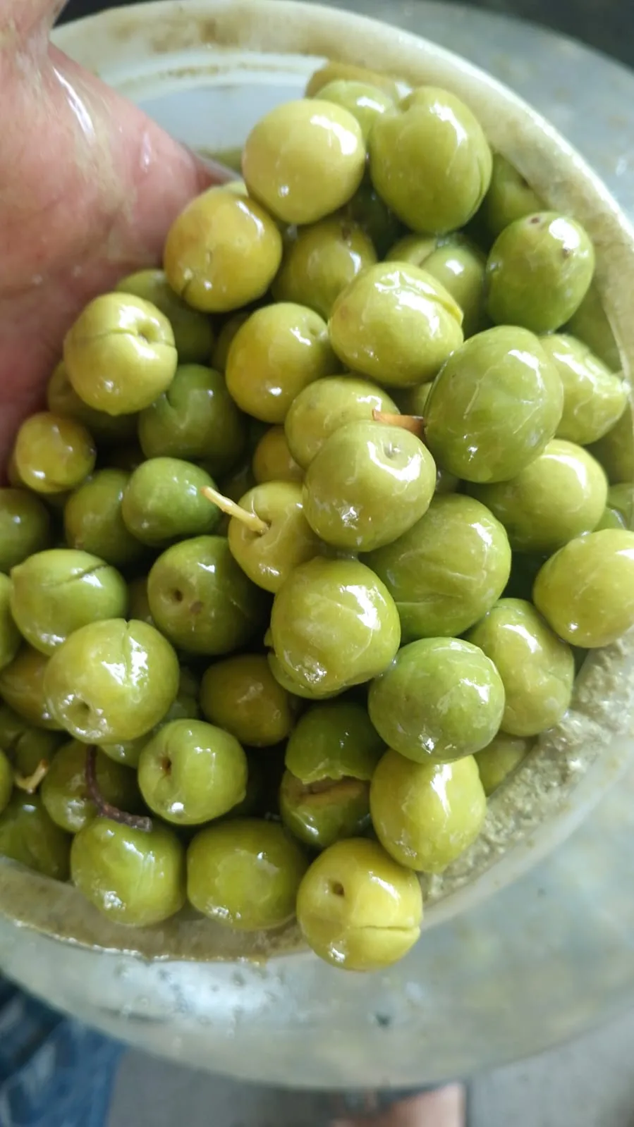 hatay yeni mahsul yeşil zeytin Net 3kg